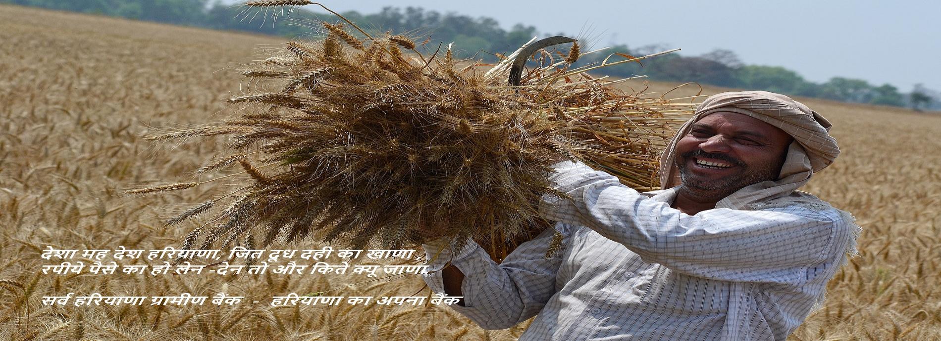 Sarva Haryana Gramin Bank Slider 5